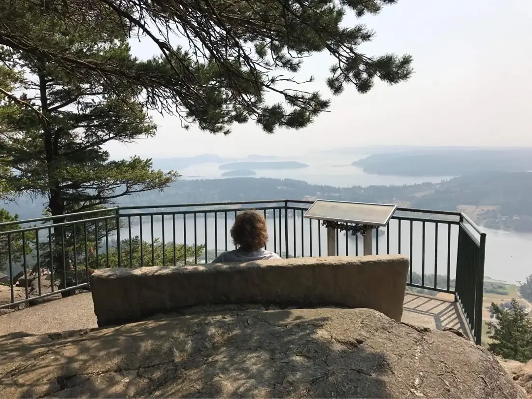 A person sitting on the custom concrete bench, seen from behind, enjoying the expansive water view.