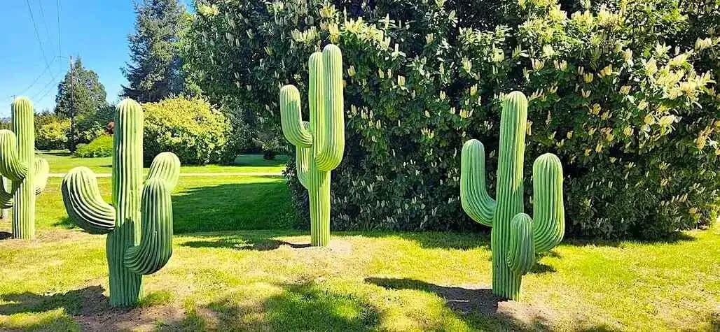 A collection of sculpted concrete cacti installed in a park-like setting with lush green bushes in Puyallup.
