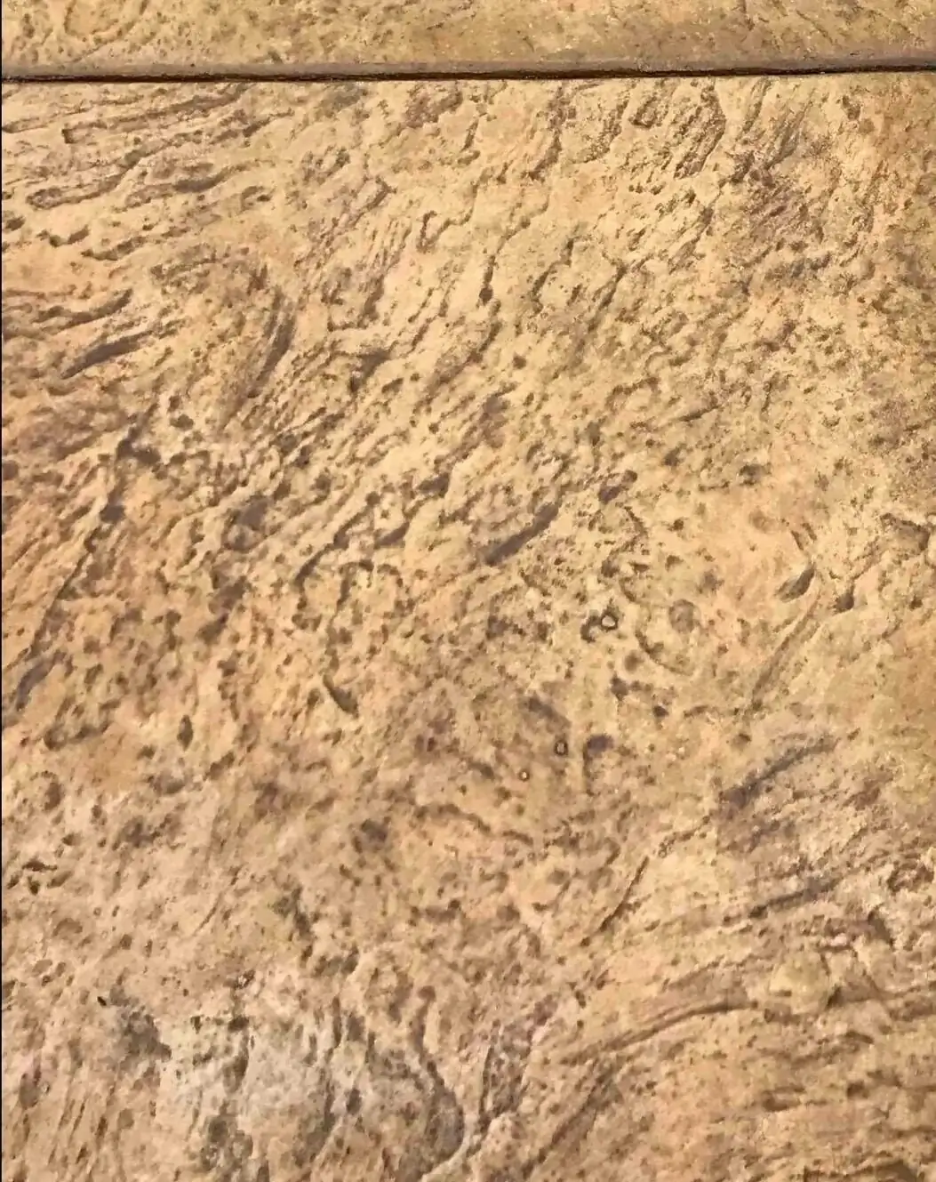 Close-up detail of the textured surface of a stamped concrete tile pattern with a dark release agent.