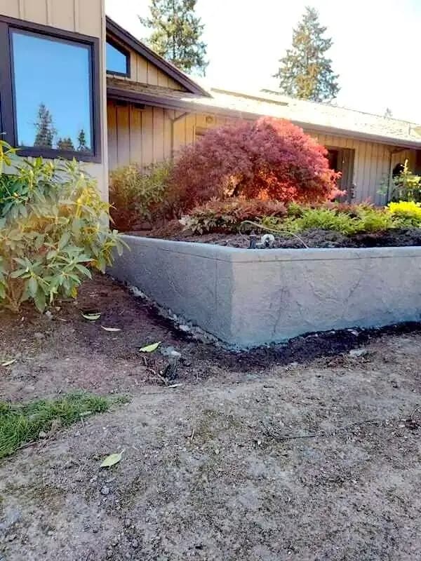 Finished stamped concrete retaining wall forming a raised garden bed with a Japanese maple in Vashon, WA.