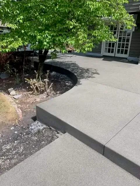 A sand finish concrete walkway with a curved edge that wraps around a small garden bed and tree.